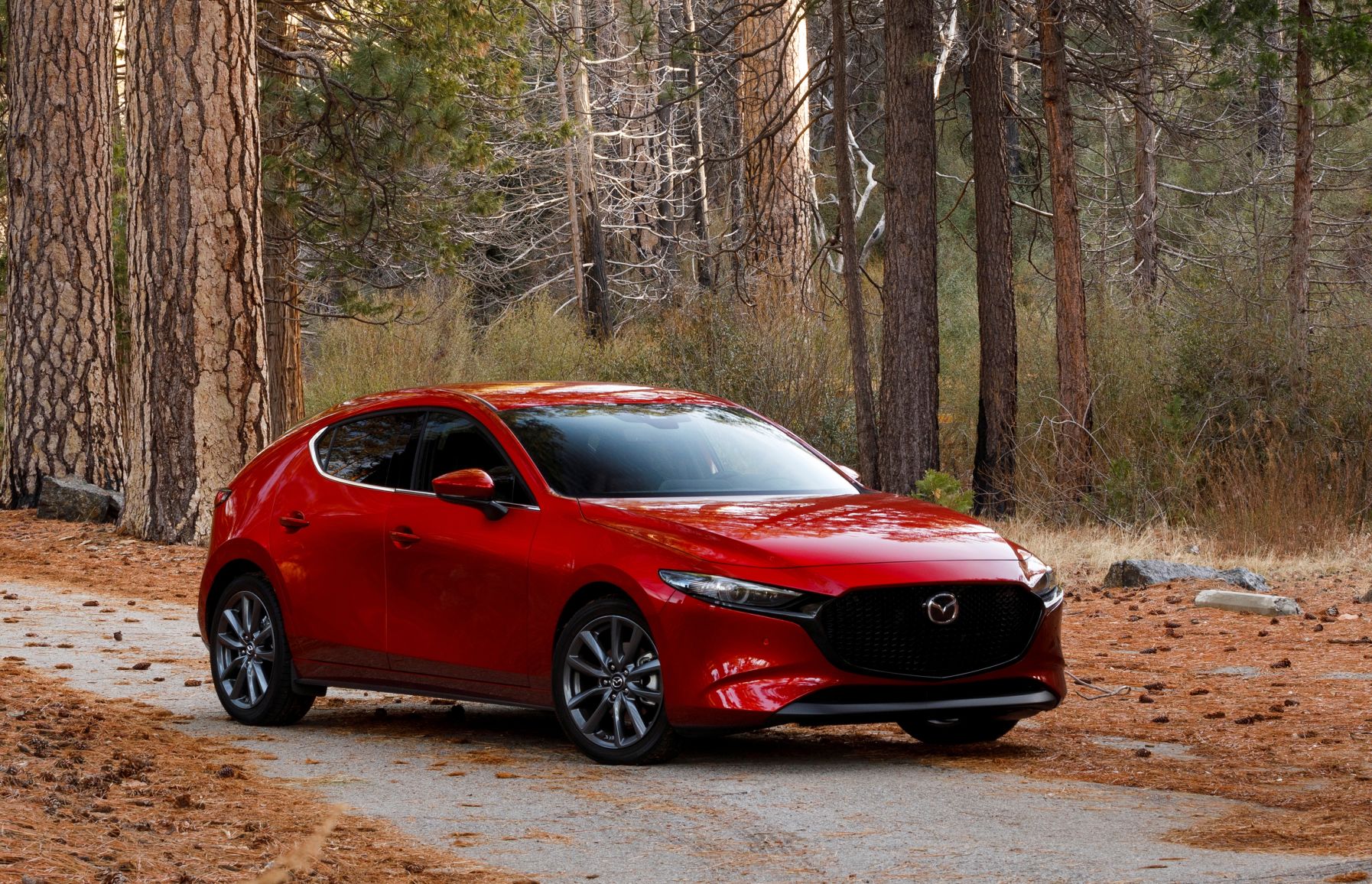 Mazda2019-3--0926a.jpg